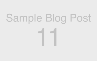 Web Blocks: Sample Blog Post 11