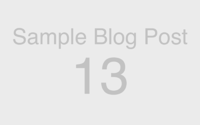 Web Blocks: Sample Blog Post 13